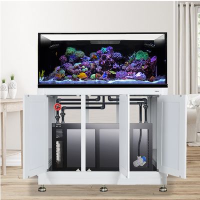 EXT 100 Gallon Complete Reef System – White - BLEMISHED TANK