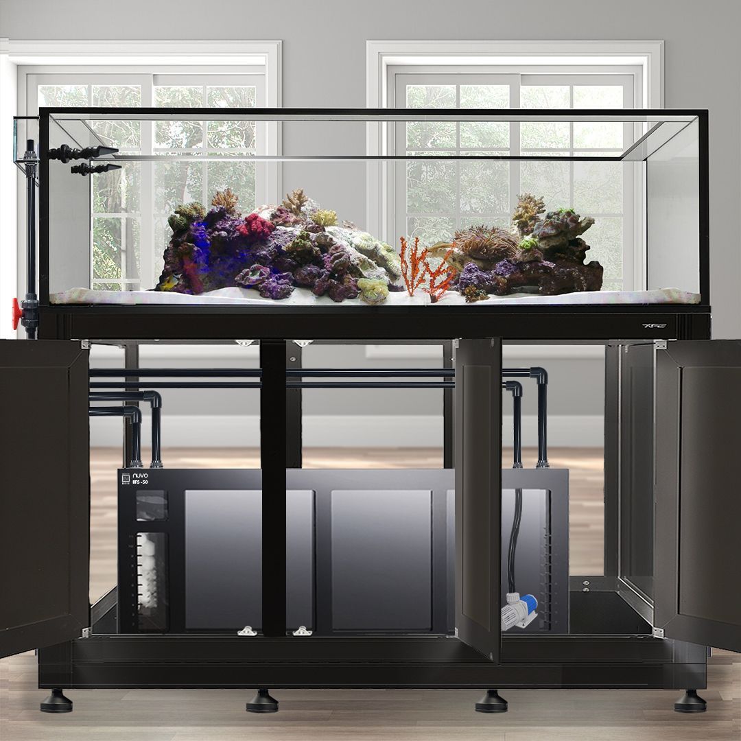 EXT 200 Gallon Peninsula Complete Reef System – Black (Made to Order) - BLEMISHED TANK