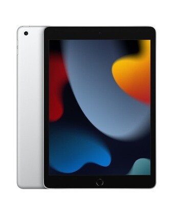 Apple iPad 10.2" 2021 256GB wifi plateado