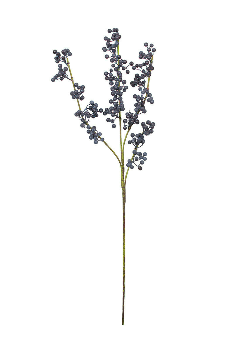 Botanica #CLX3108