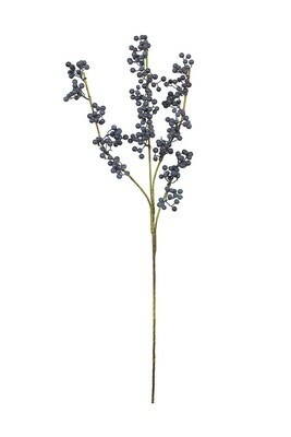 Botanica #CLX3108 Botanica #CLX3108