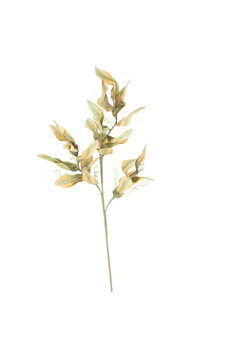 Botanica #CSL2318 Botanica #CSL2318