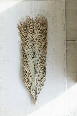 Natural  Bundle of Date Palm Leaves