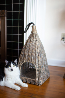 Hanging Wicker Cat Basket