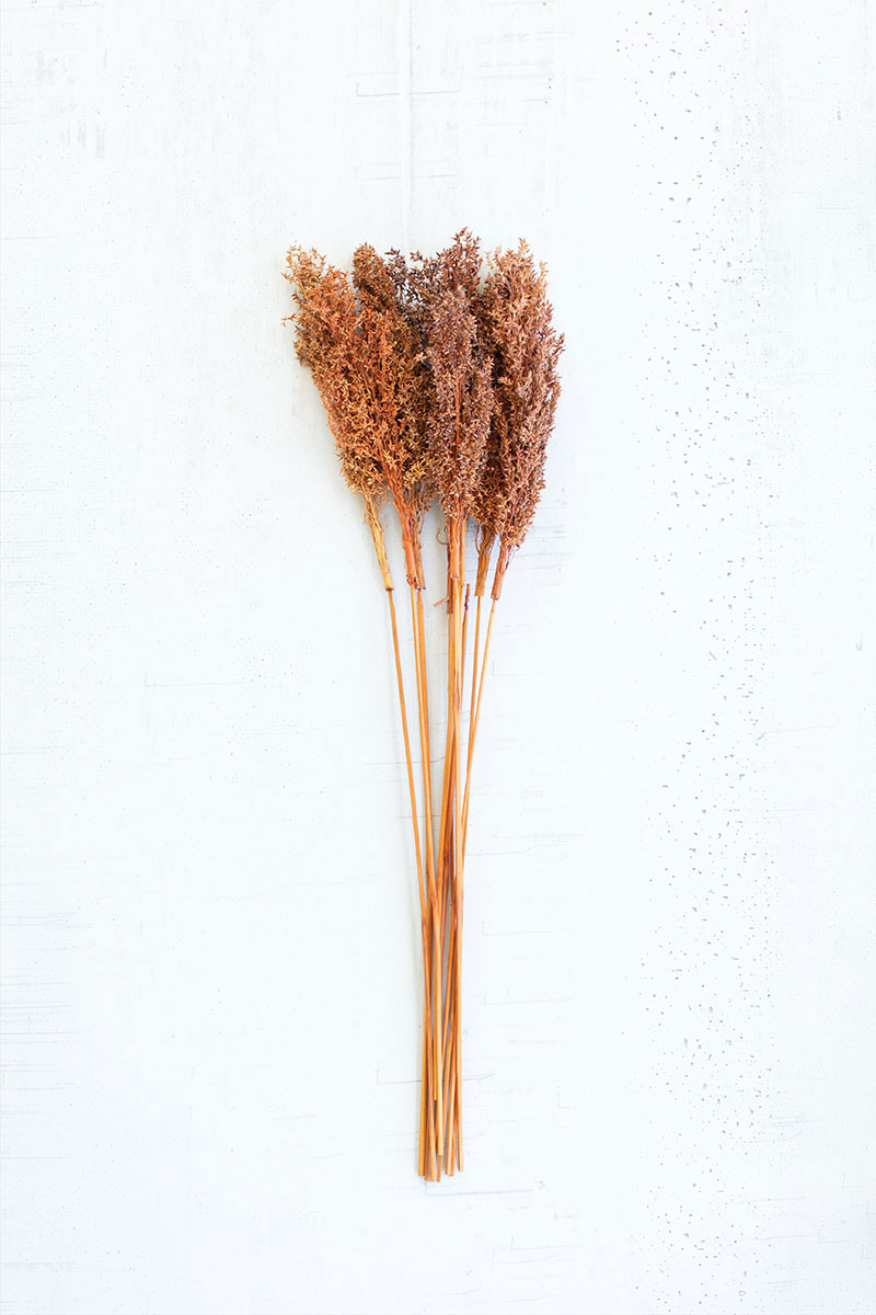 Natural Corn Grass Bundle