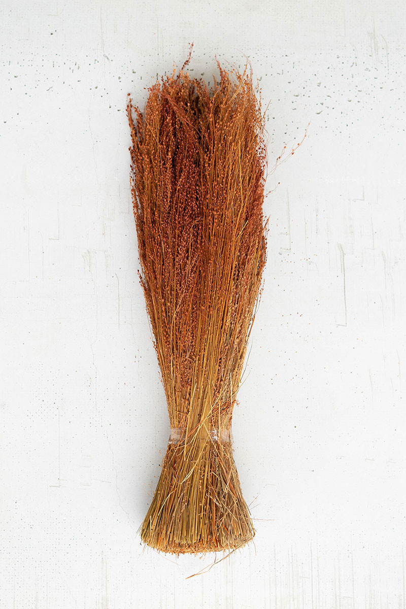 Natural Star Grass Bundle Natural Star Grass Bundle