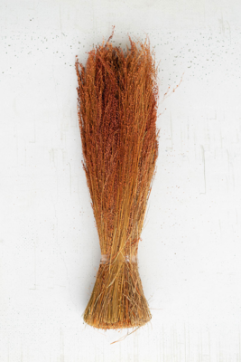 Natural Star Grass Bundle