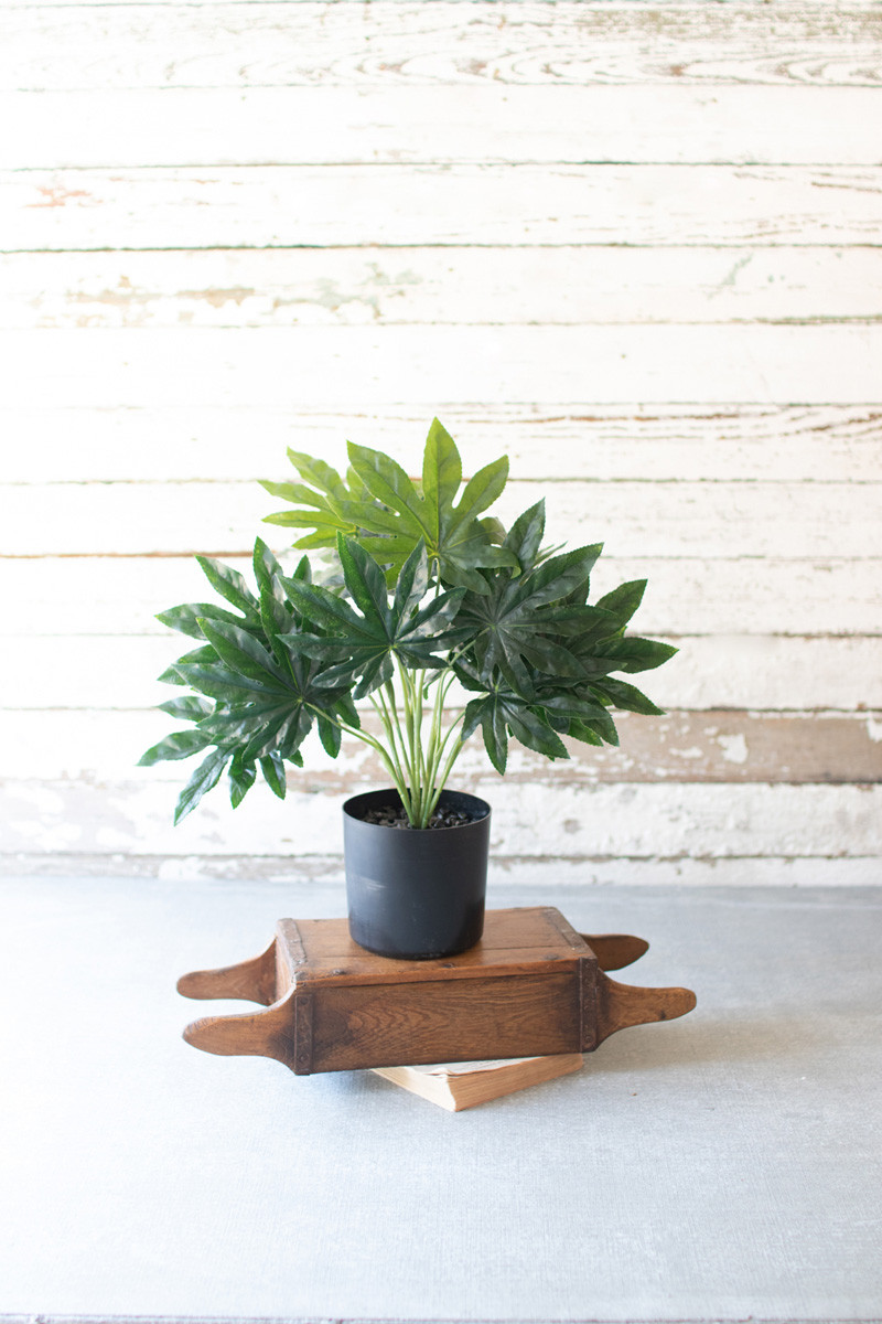 Artificial Potted Fatsia