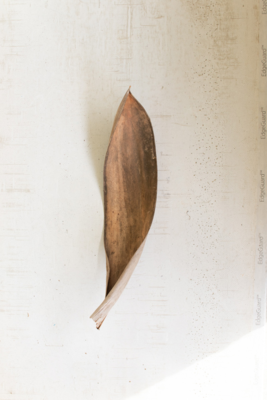 Natural Coco Boat