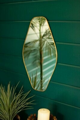 Brass Framed Organic Shaped Mirror