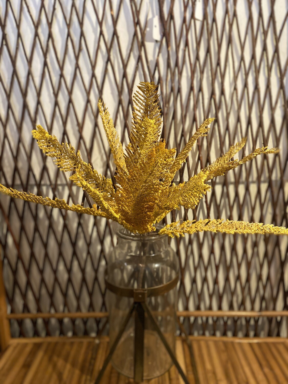 Botanica #3186