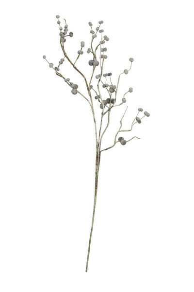 Botanica #CLX2722