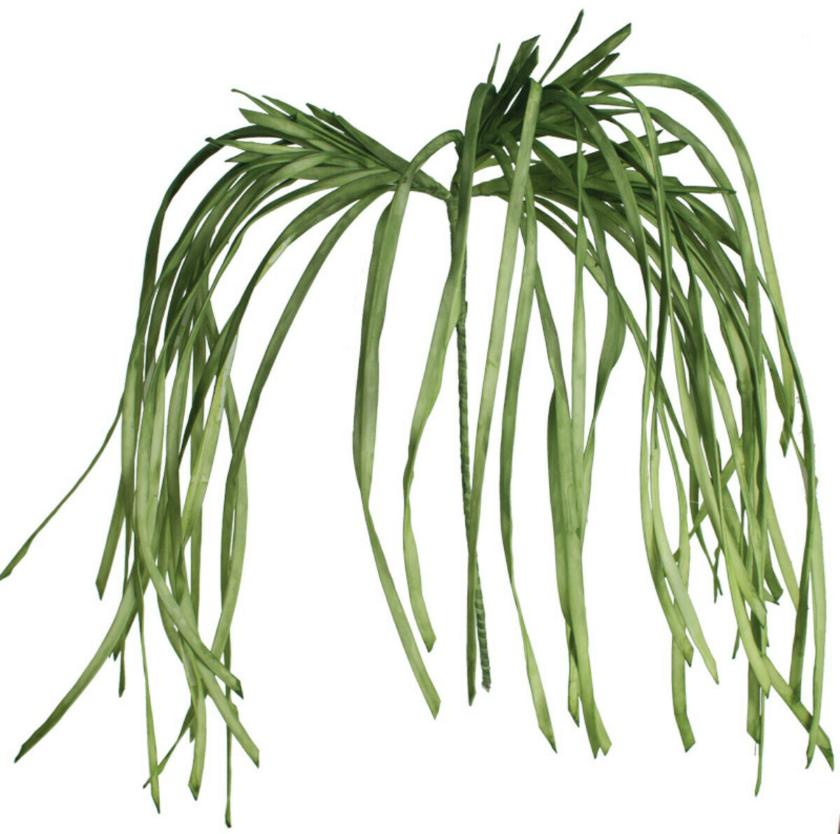 Botanica #1183 Botanica #1183