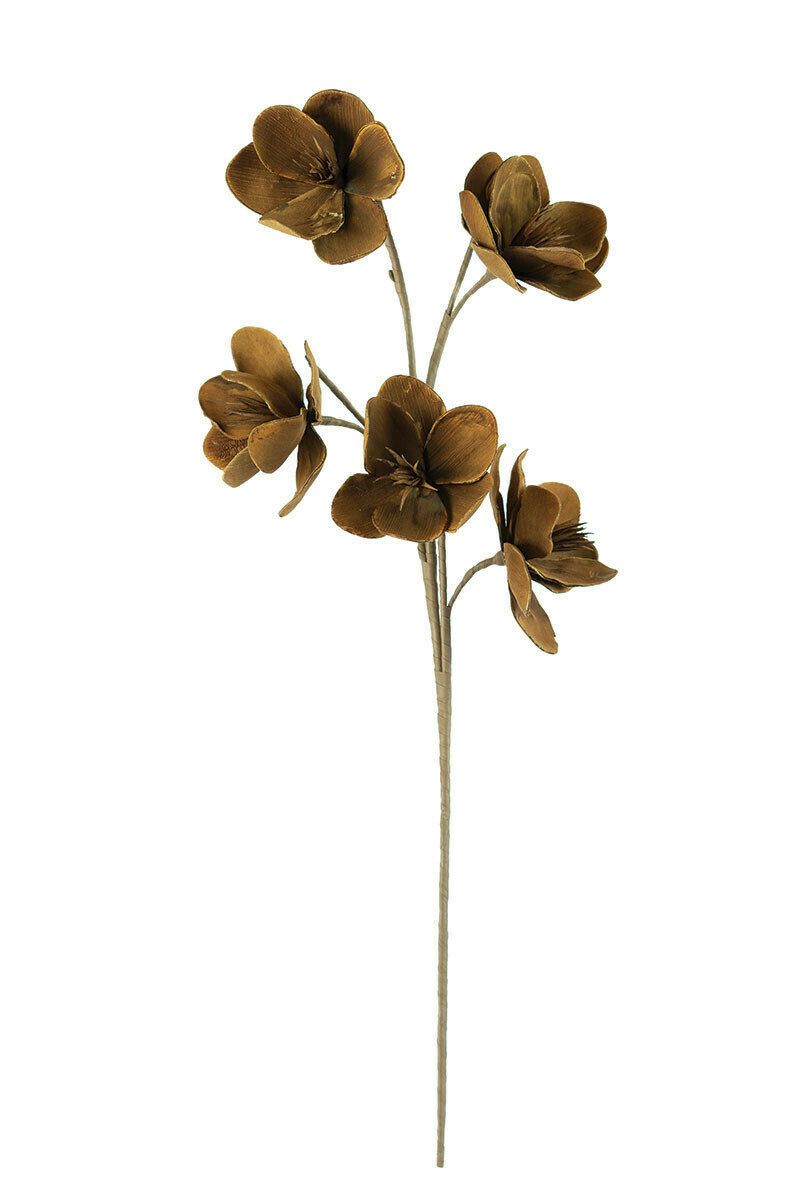 Botanica #2387