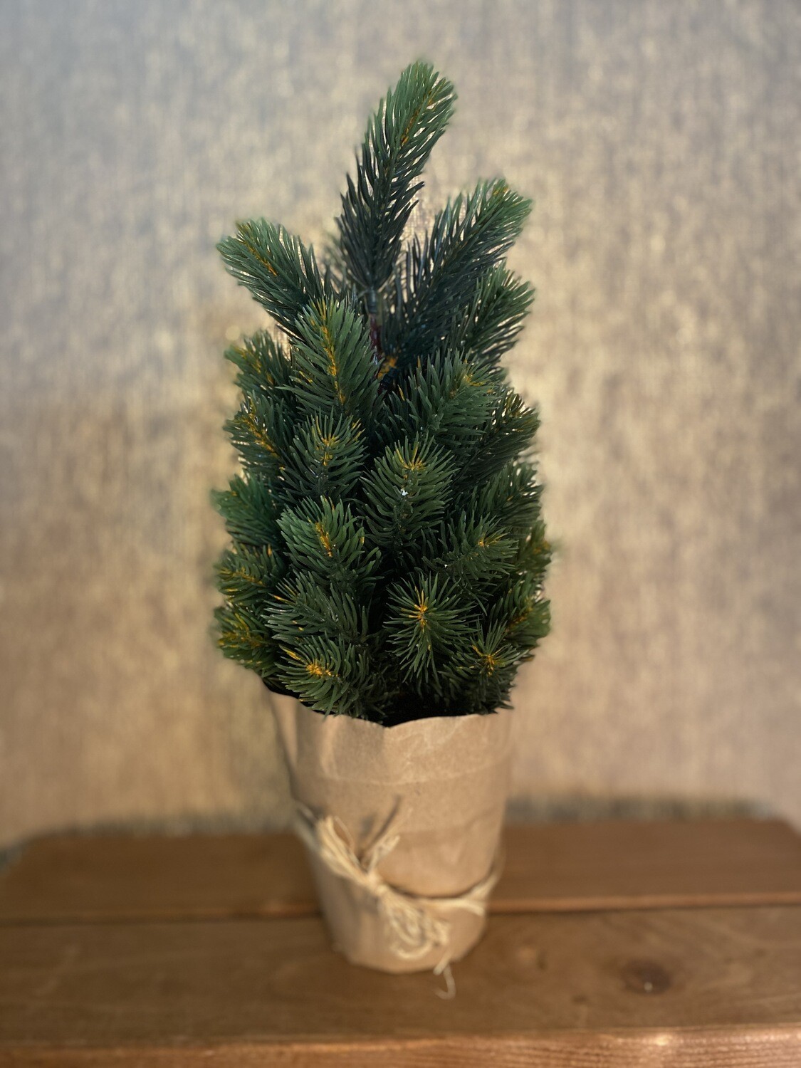 Pine Scrub In a Paper Pot