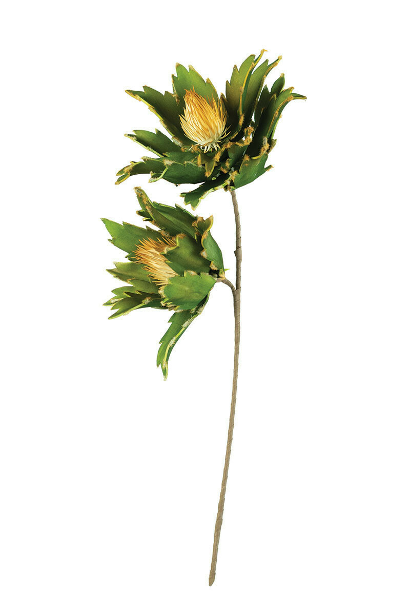 Botanica #3167 Botanica #3167