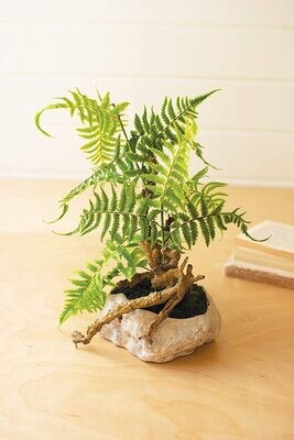 Artificial Fern In A Grey Paper Pulp Pot