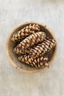 Bag Of Six Strobus Pine Cones - Natural