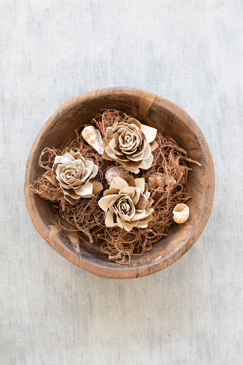 Bag Of Exotic Shells w/Brown Moss