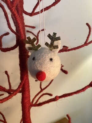 Reindeer &amp; Animals