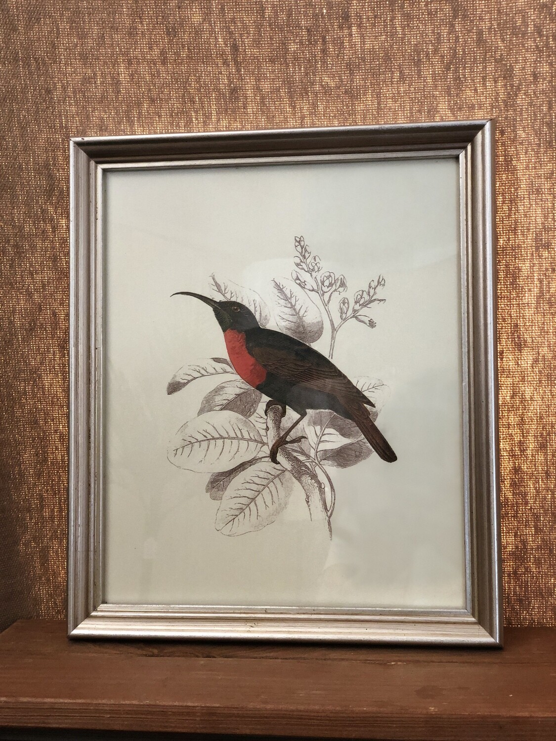 Hummingbirds IV