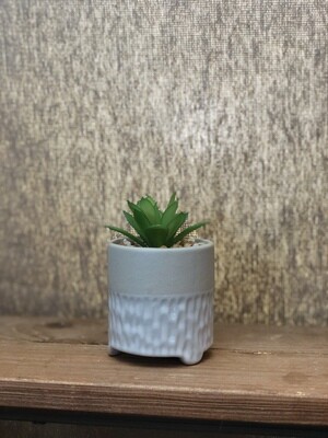 Green Succulent w/Lt Gray Pot - Sm