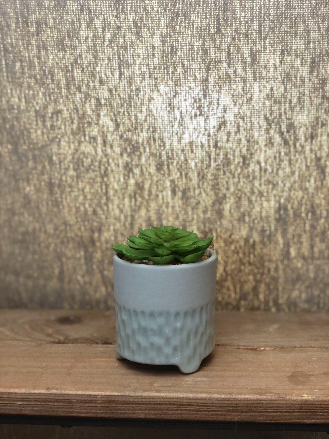 Green Succulent w/Lt Green Pot - Sm
