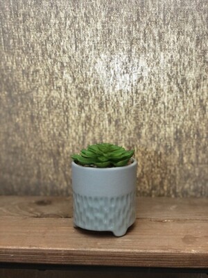 Green Succulent w/Lt Green Pot - Sm