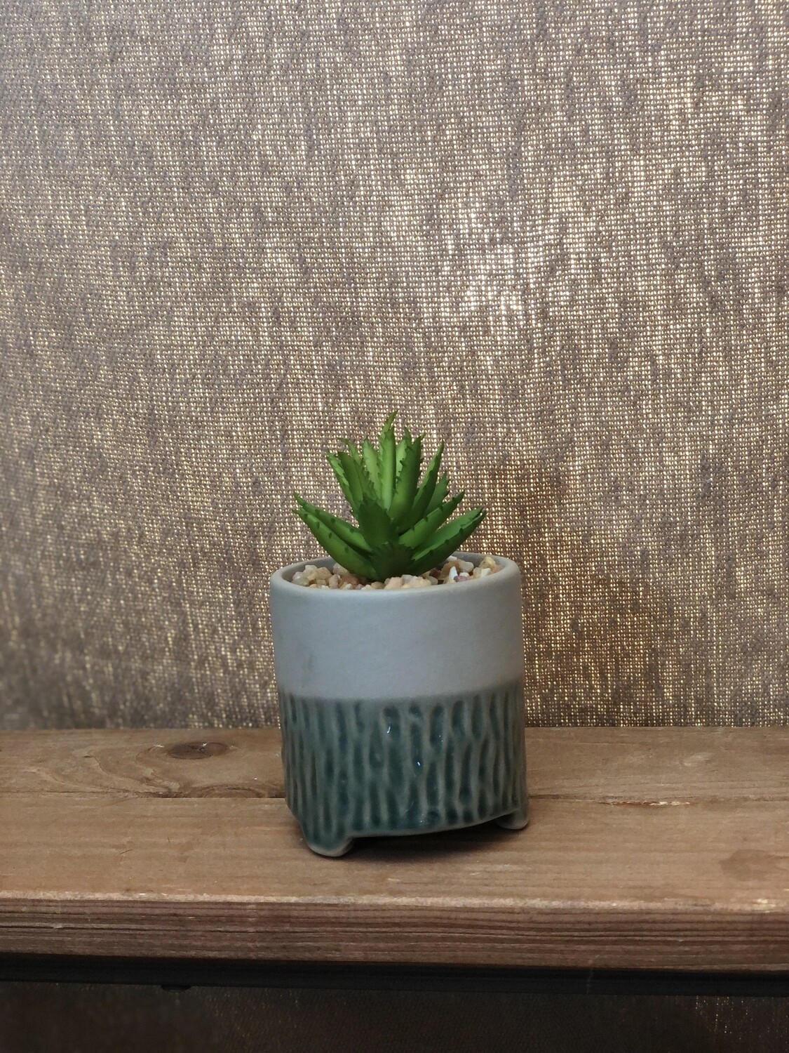 Green Succulent w/Teal Pot - Sm