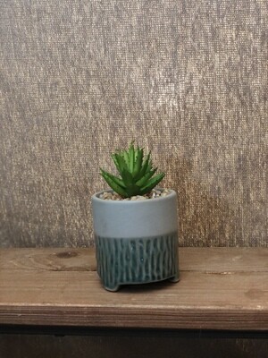 Green Succulent w/Teal Pot - Sm Green Succulent w/Teal Pot - Sm