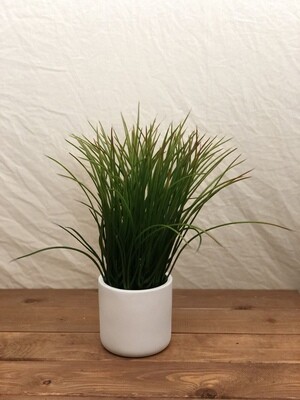 Grass in Cement White Pot 14" Grass in Cement White Pot 14"