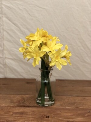 Narcissus in Glass Vase Yellow 9&quot;