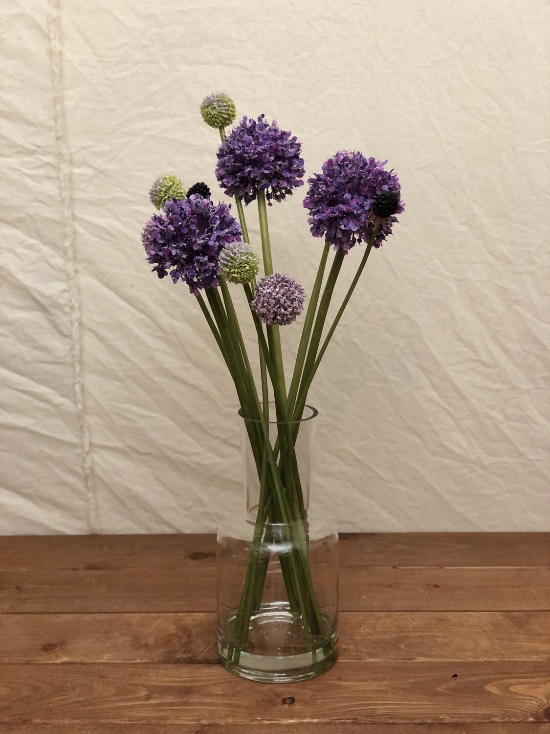 Allium/Billy Button in Vase 18&quot;