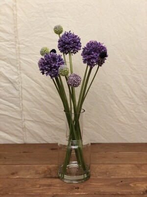 Allium/Billy Button in Vase 18" Allium/Billy Button in Vase 18"