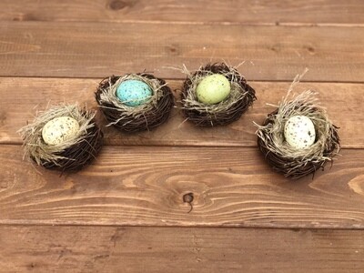 S/4 Bird Nest/Egg