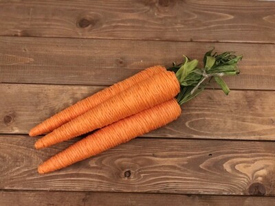 Carrot Bundle S/3 15"