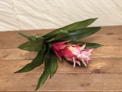 Bromeliad Spray Pink 21" Bromeliad Spray Pink 21"