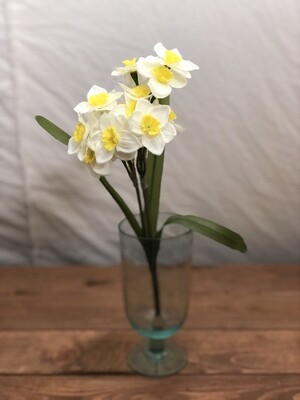 Narcissus Bush 14"