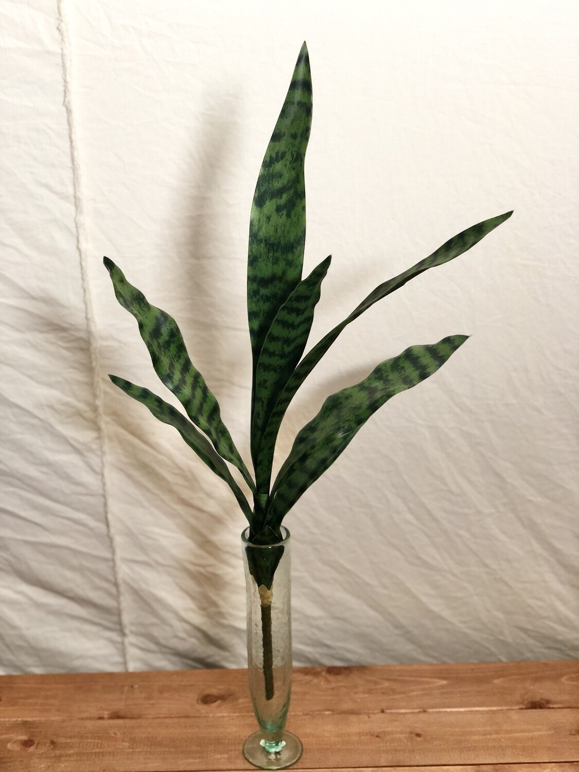 Sansevieria Plant II 27" Sansevieria Plant II 27"