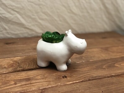 Cer Hippo Faux Potted Succulent