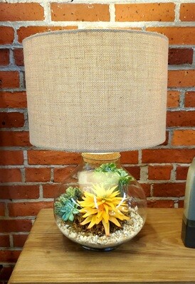 36. Clear Lamp full of Yellow Succulents