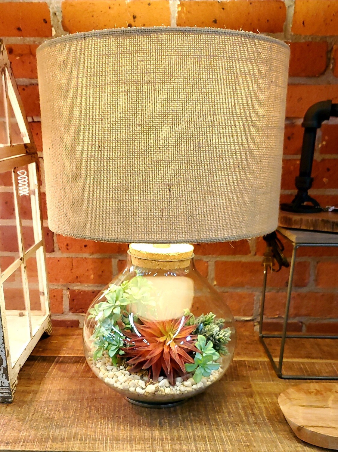 37. Clear Lamp full of Red Succulents