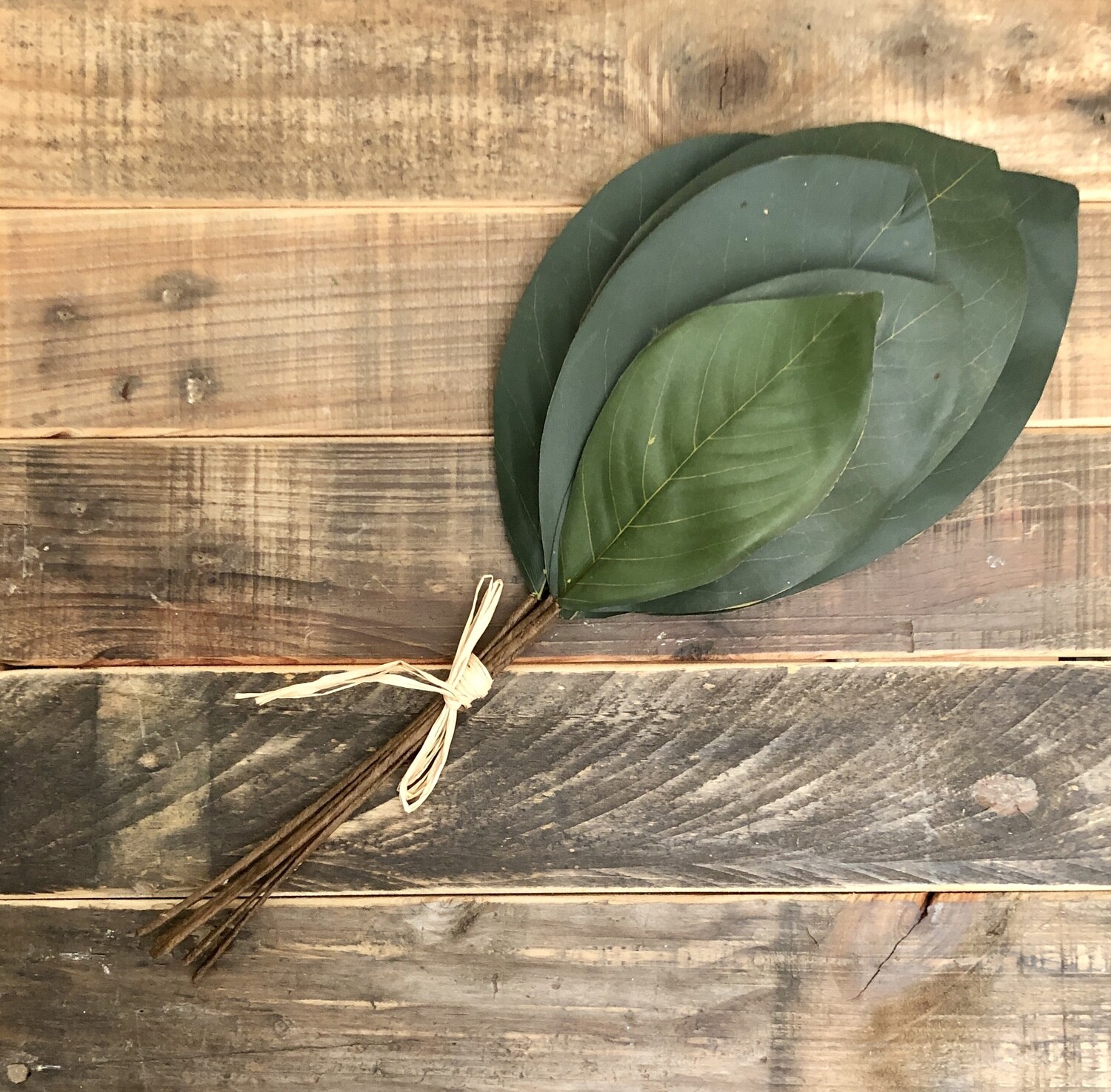 Magnolia Leaf Spray Magnolia Leaf Spray