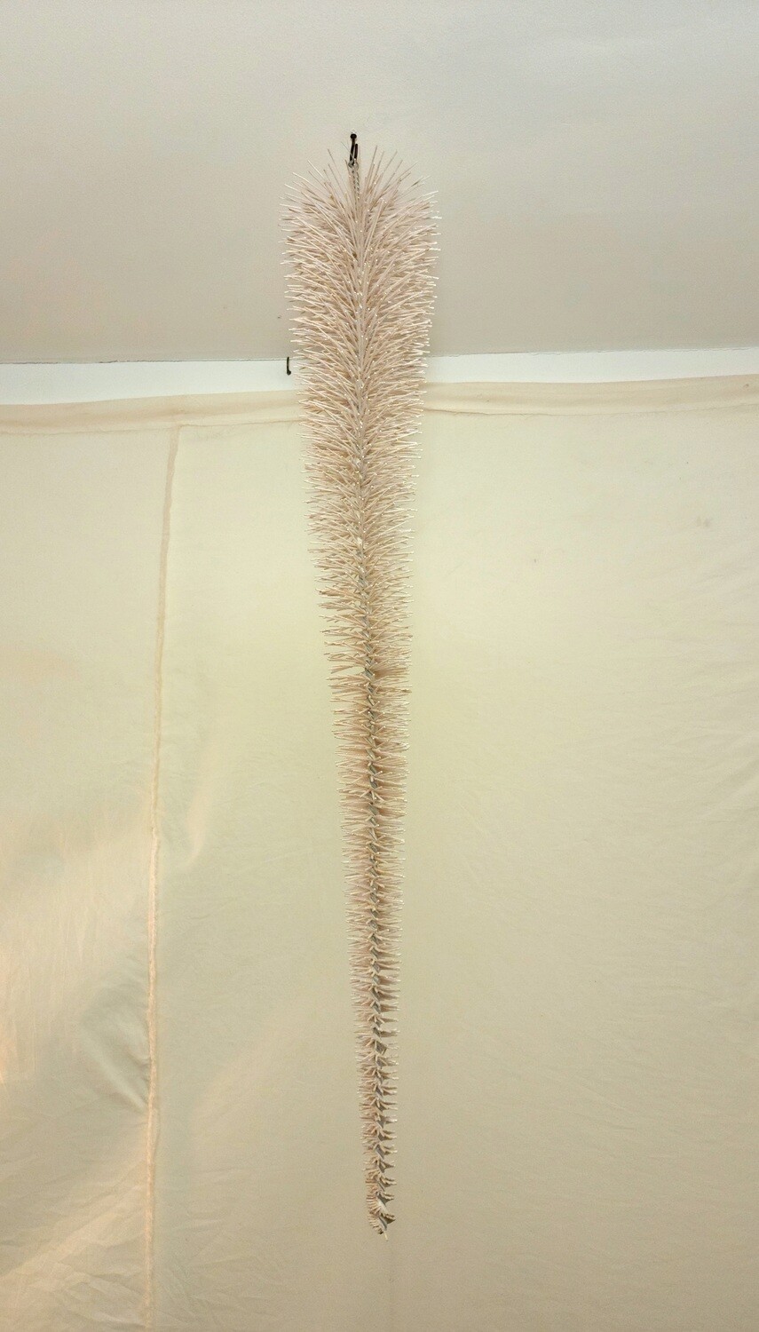 Champagne Upside Down Bristle Tree - Med