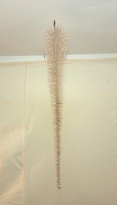 Champagne Upside Down Bristle Tree - Med Champagne Upside Down Bristle Tree - Med