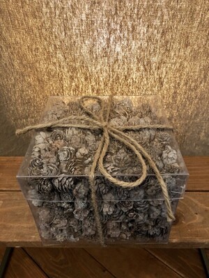 Box of Whitewash Mini Pinecones