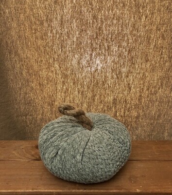 Pumpkin 4.5&quot; Teal