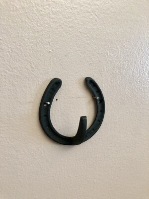 Cast Iron Horseshoe Wall Hook - Black