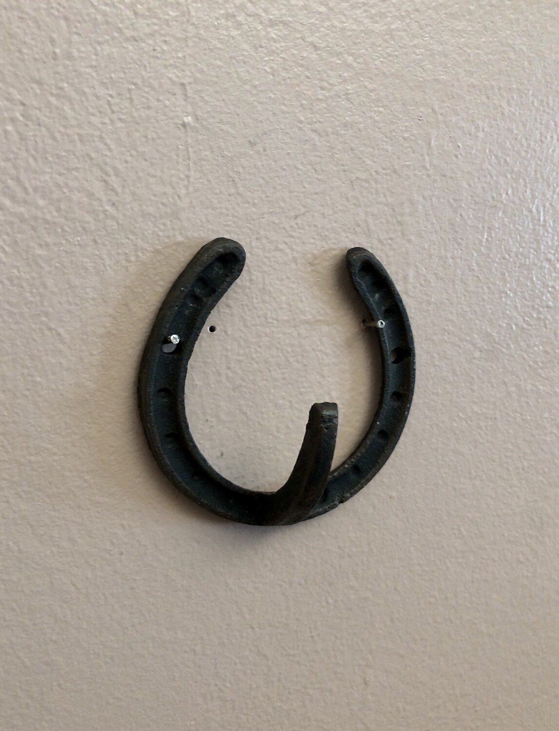 Cast Iron Horseshoe Wall Hook - Brown