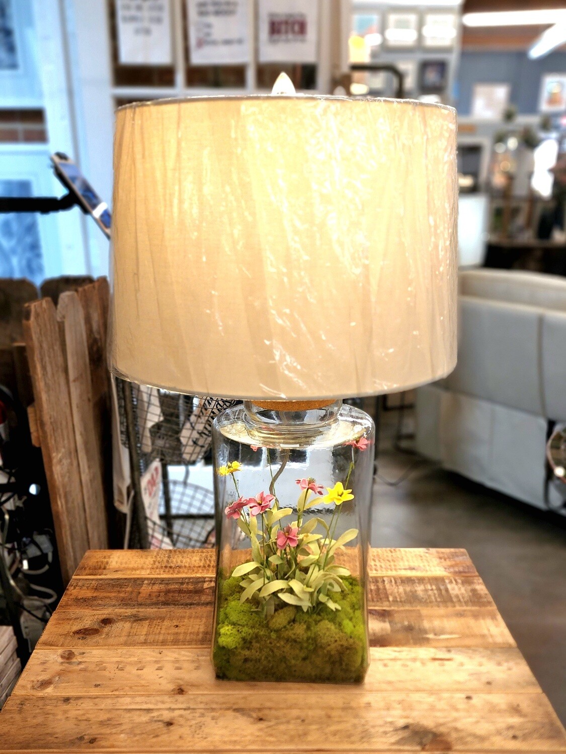 43. Clear Lamp full of Succulents